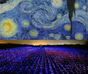 Starry Night – Vincent van Gogh (#7 Most Environmentally Impactful Painting)